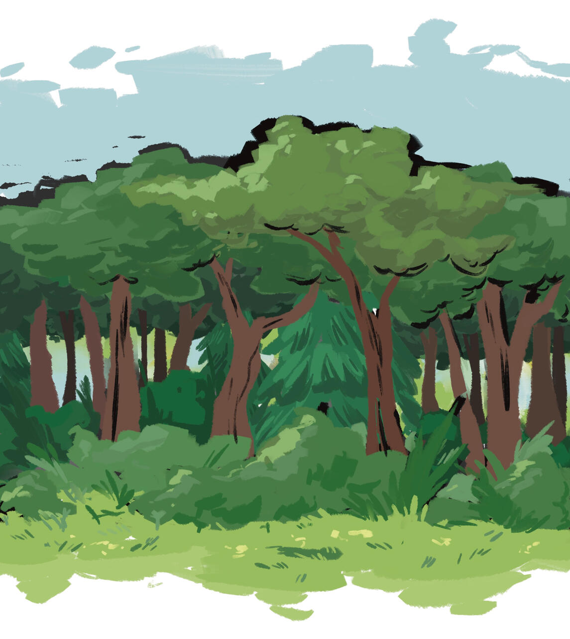 Style Test Style Test