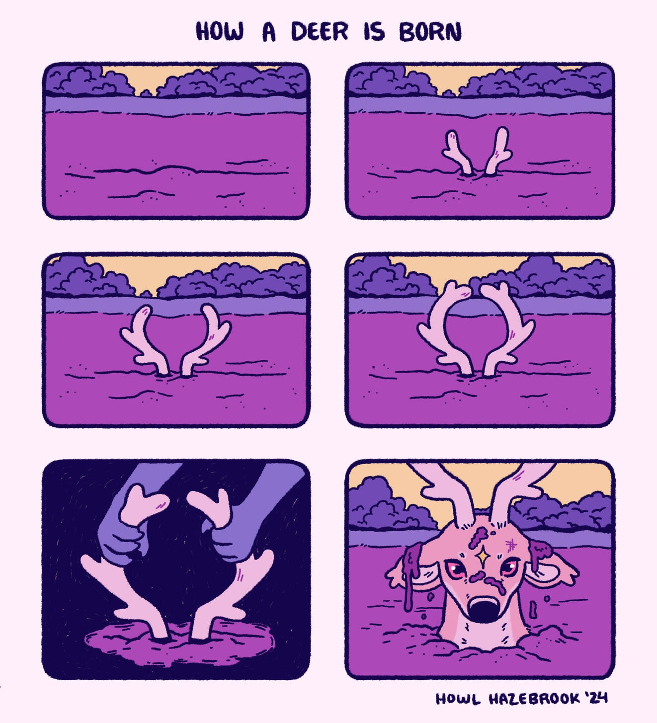 How a Deer is Born 1 How a Deer is Born 1